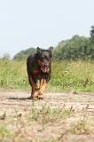 BEAUCERON 037